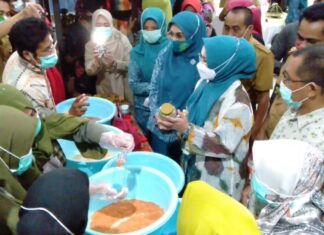 Ketua TP PKK Sulsel