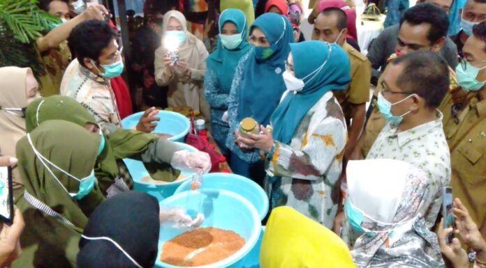 Ketua TP PKK Sulsel