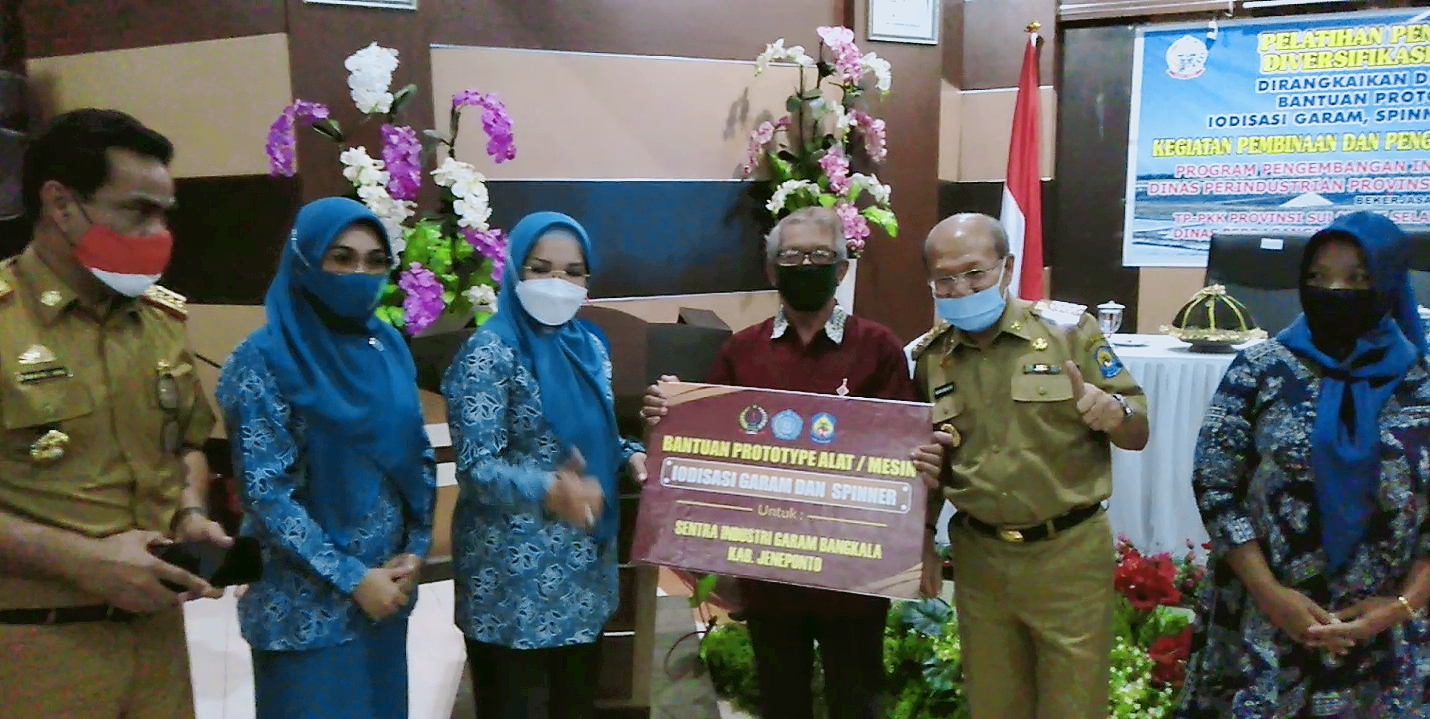 Ketua TP PKK Sulsel, Hj Liestiaty F Nurdin Abdullah Serahkan Beberapa Bantuan di Jeneponto