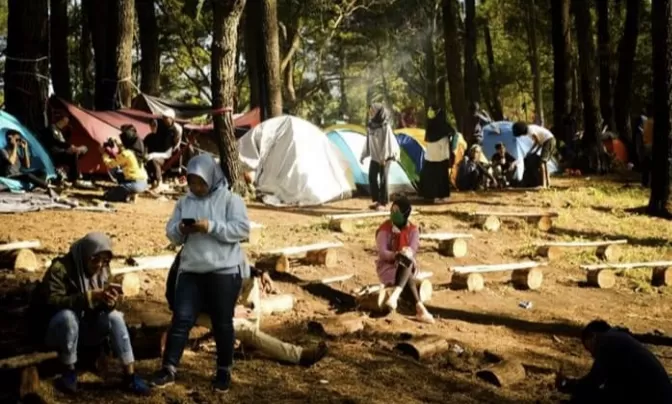 Hutan Pinus Paccumikang Jeneponto Siap Bersaing Dengan Destinasi Wisata di Daerah Lain