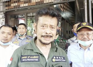 Syahrul Yasin Limpo
