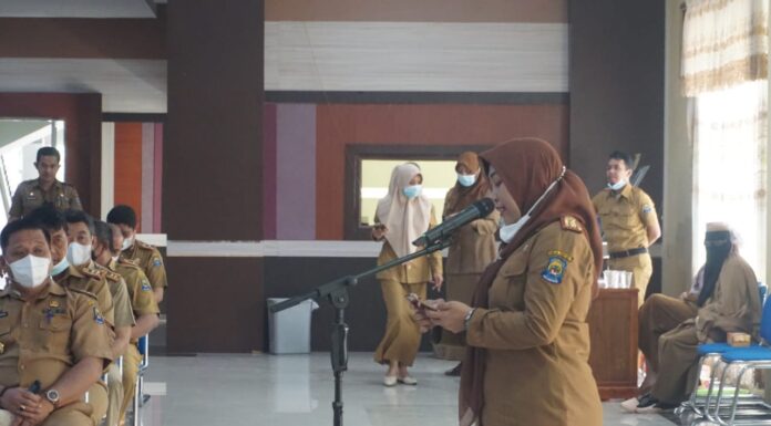 Capaian