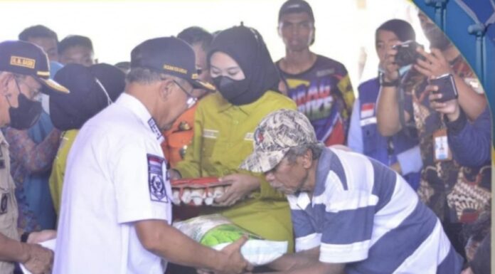 Bupati