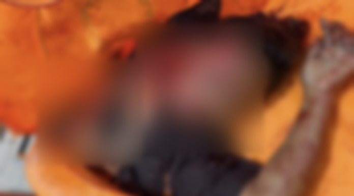 Perempuan Tak Bernyawa Ditemukan Berlumuran Darah, Diduga Korban Lakalantas, Benarkah? Perempuan