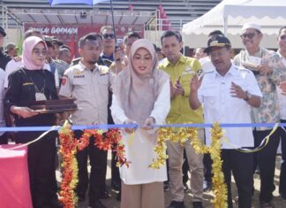 Ketua TP PKK Jeneponto