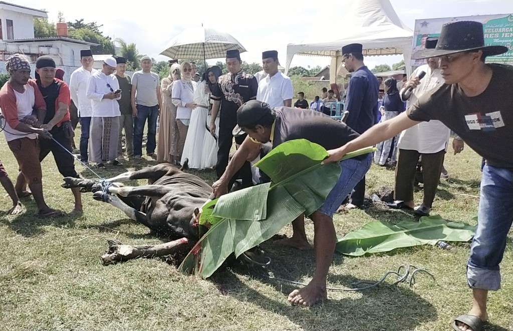 Hari Raya Idul Adha 1444 Hijriah, Polres Jeneponto Kurban 48 Ekor Sapi