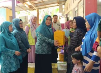 Pj Ketua TP PKK