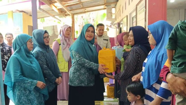 Pj Ketua TP PKK