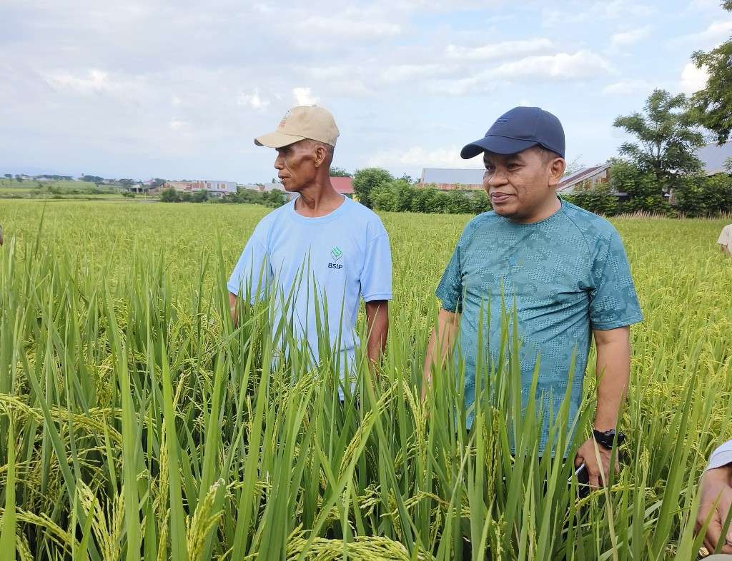 Tingkatkan Hasil Panen Padi, Pj Bupati Jeneponto Harap Petani Kembangkan Penangkaran Bibit Padi
