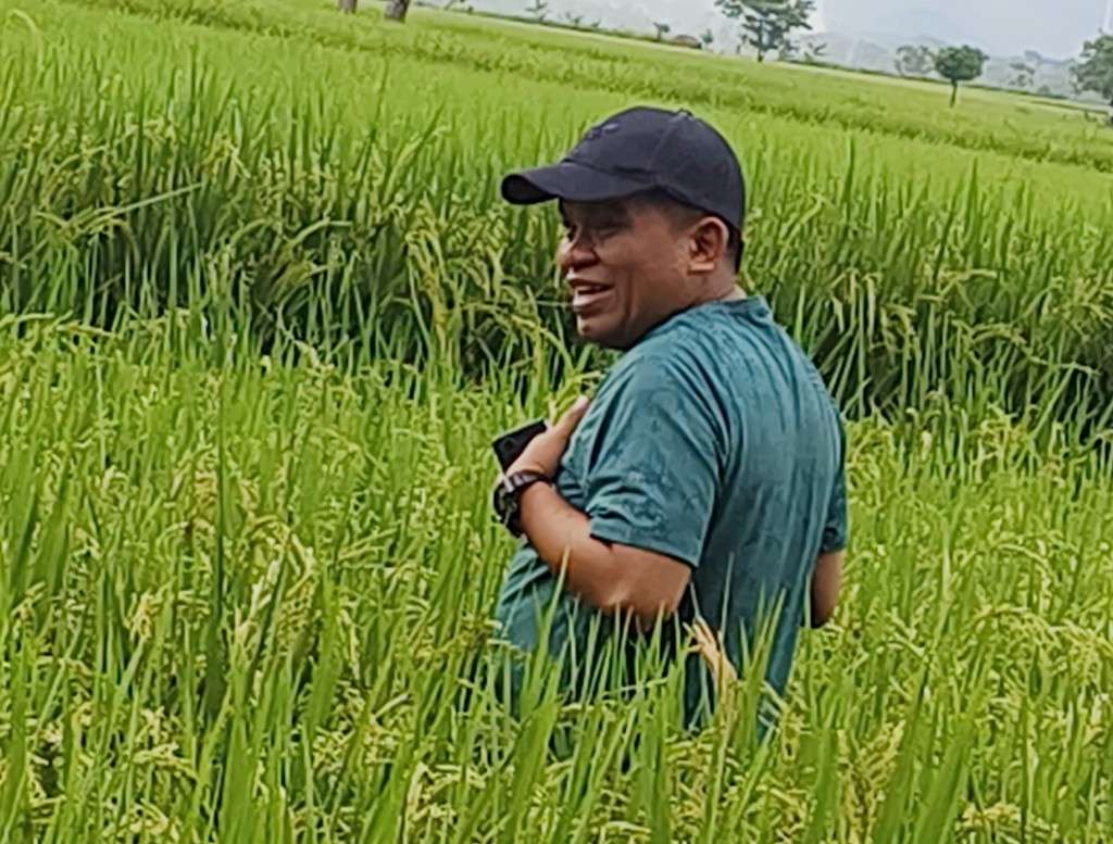 Tingkatkan Hasil Panen Padi, Pj Bupati Jeneponto Harap Petani Kembangkan Penangkaran Bibit Padi