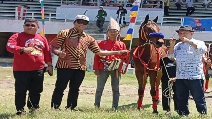 Kuda Tulolonna Bangkala Raih Juara 1 Kontes Jarang Patta'ba Hari Jadi Jeneponto Ke-161 Kuda Tulolonna Bangkala
