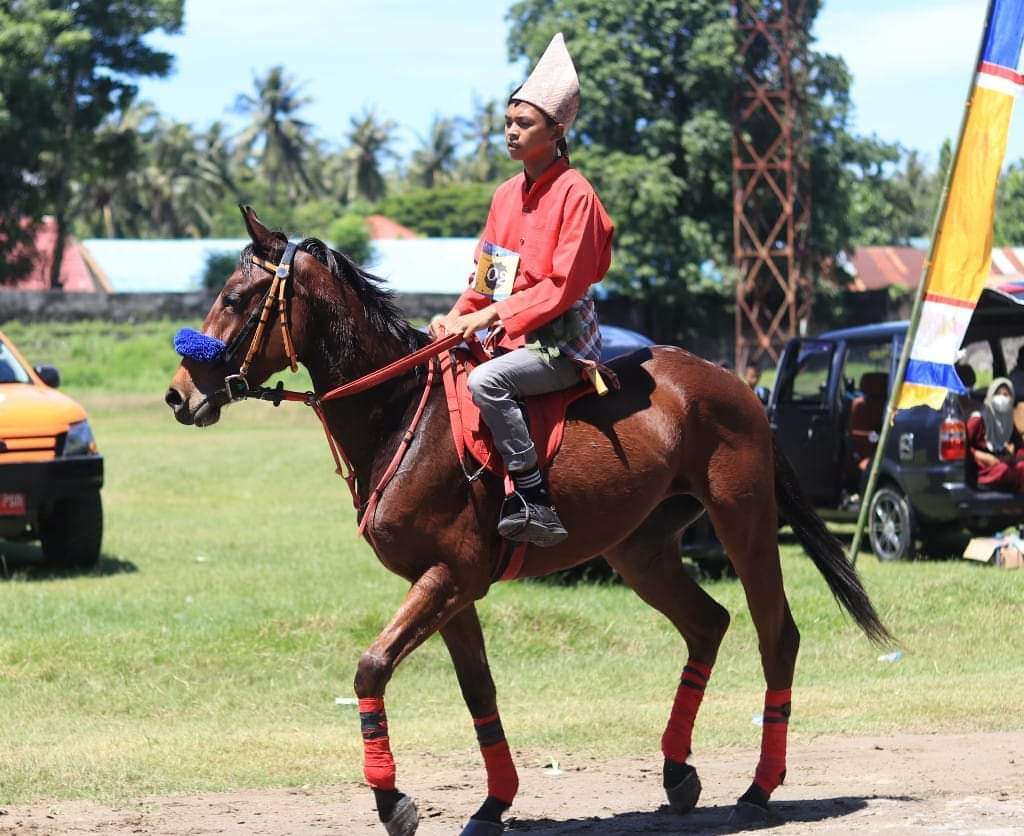 Kuda Tulolonna Bangkala Raih Juara 1 Kontes Jarang Patta'ba Hari Jadi Jeneponto Ke-161