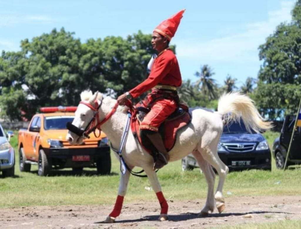 Kuda Tulolonna Bangkala Raih Juara 1 Kontes Jarang Patta'ba Hari Jadi Jeneponto Ke-161