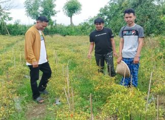 Ketua KNPI Jeneponto