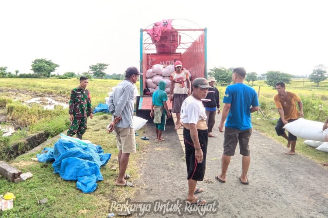 Dandim 1425 Jeneponto Instruksikan Babinsa Terus Dampingi dan Kawal Penyerapan Gabah Petani