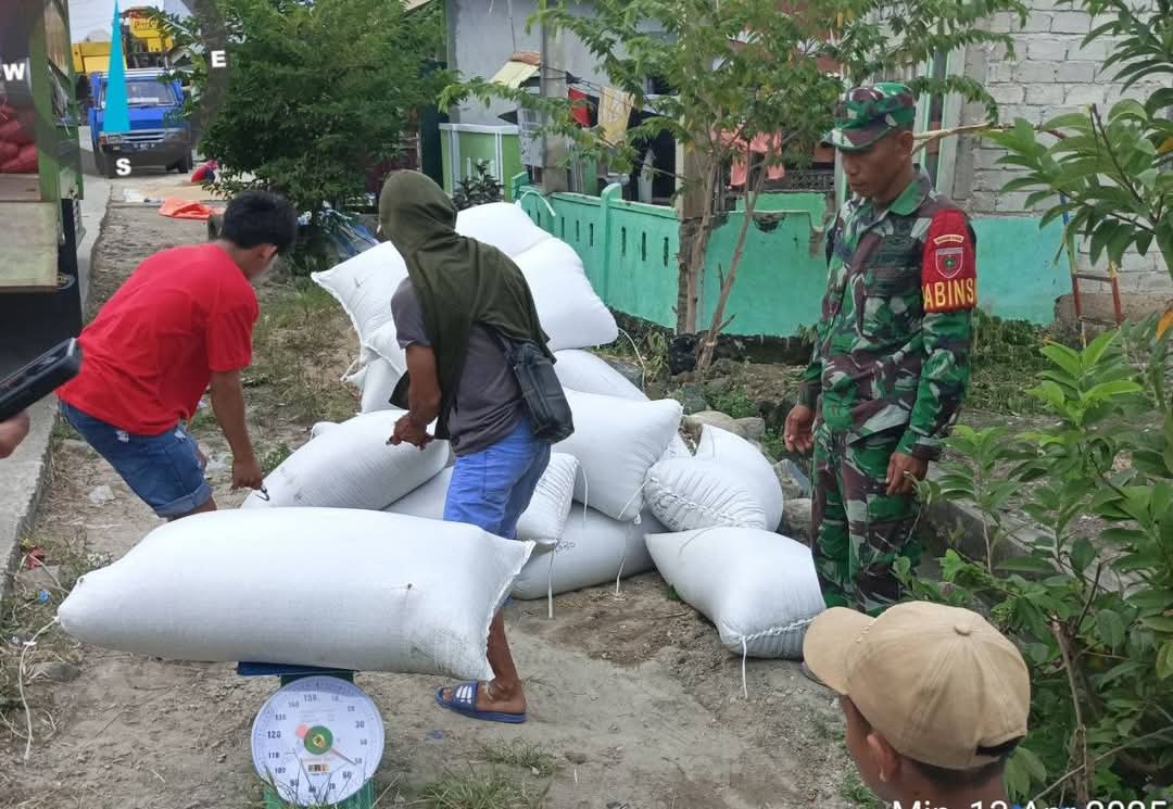 Dandim 1425 Jeneponto Instruksikan Babinsa Terus Dampingi dan Kawal Penyerapan Gabah Petani
