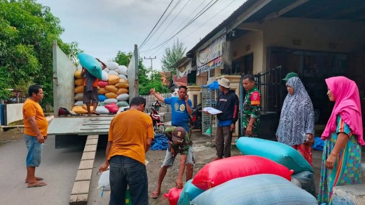 Dandim 1425 Jeneponto Instruksikan Babinsa Terus Dampingi dan Kawal Penyerapan Gabah Petani Dandim 1425 Jeneponto