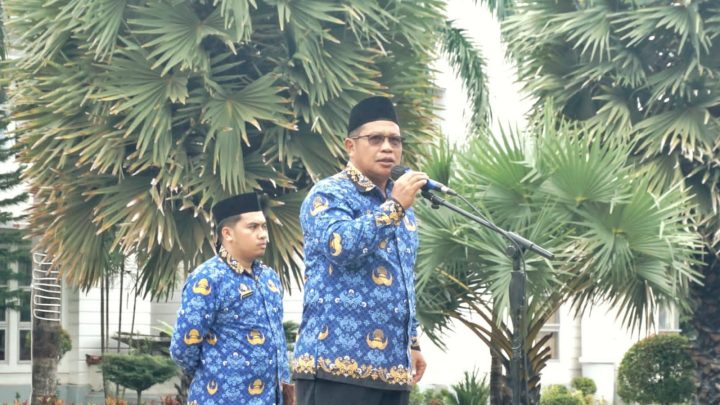 Jadi Inspektur