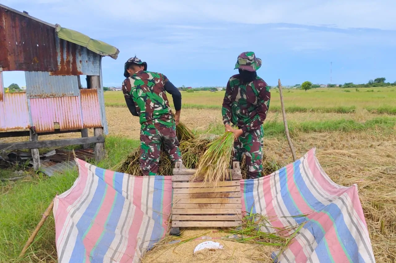 Di Tengah Sawah, TNI dan Petani Bersama Tuai Harapan, Satgas TMMD ke-128: Pererat Ikatan Kebersamaan